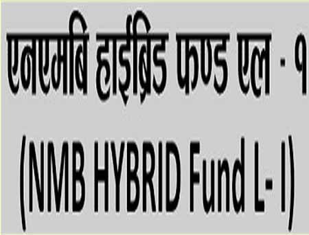 nmb-hybrid-fund